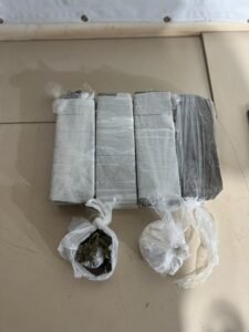 WhatsApp Image 2024-11-14 at 08.43.41