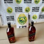 WhatsApp Image 2024-11-18 at 08.51.32