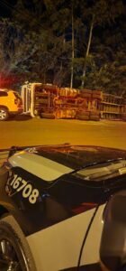 WhatsApp Image 2024-11-19 at 08.40.16