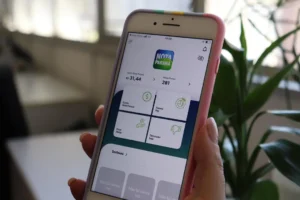 Esses-creditos-referem-se-as-compras-feitas-em-ago-00933530-0-202411111057-ScaleDownProportional