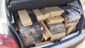 WhatsApp Image 2024-12-11 at 09.57.32(1)