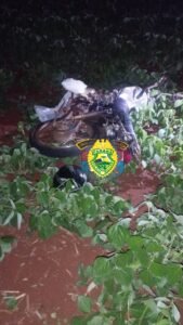 WhatsApp Image 2025-01-02 at 06.40.08