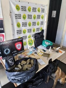 WhatsApp Image 2025-01-23 at 14.44.23