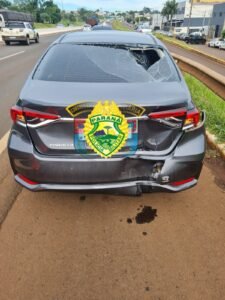 WhatsApp Image 2025-01-24 at 13.01.10(1)