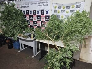 WhatsApp Image 2025-01-29 at 23.18.53