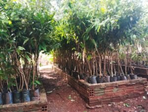 Imagem-do-WhatsApp-de-2025-03-07-as-14.53.49_851dd81e-768x578