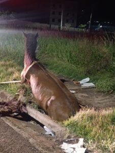 WhatsApp Image 2025-03-02 at 12.06.41