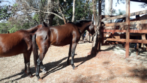 vlcsnap-2025-03-06-16h43m38s519-768x432