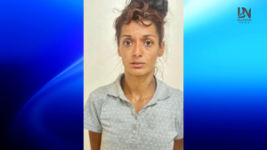 Gato Antes do Café Depois do Café Duas Fotos e Texto Meme