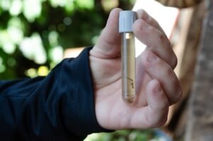 DSC_0124-copiar-2-768x509