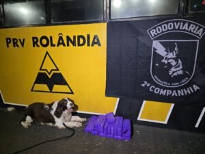 WhatsApp Image 2025-05-01 at 08.37.27