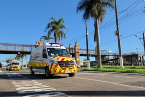 whatsapp_image_2025-05-15_at_11.30.51