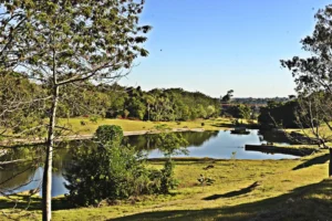 O-investimento-total-e-de-R-23-milhoes-01003776-0-202507101221-ScaleDownProportional