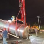 17696858761_Na9oVxNS66ztdCK