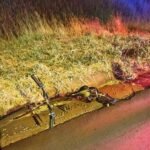 WhatsApp Image 2026-01-28 at 10.14.17