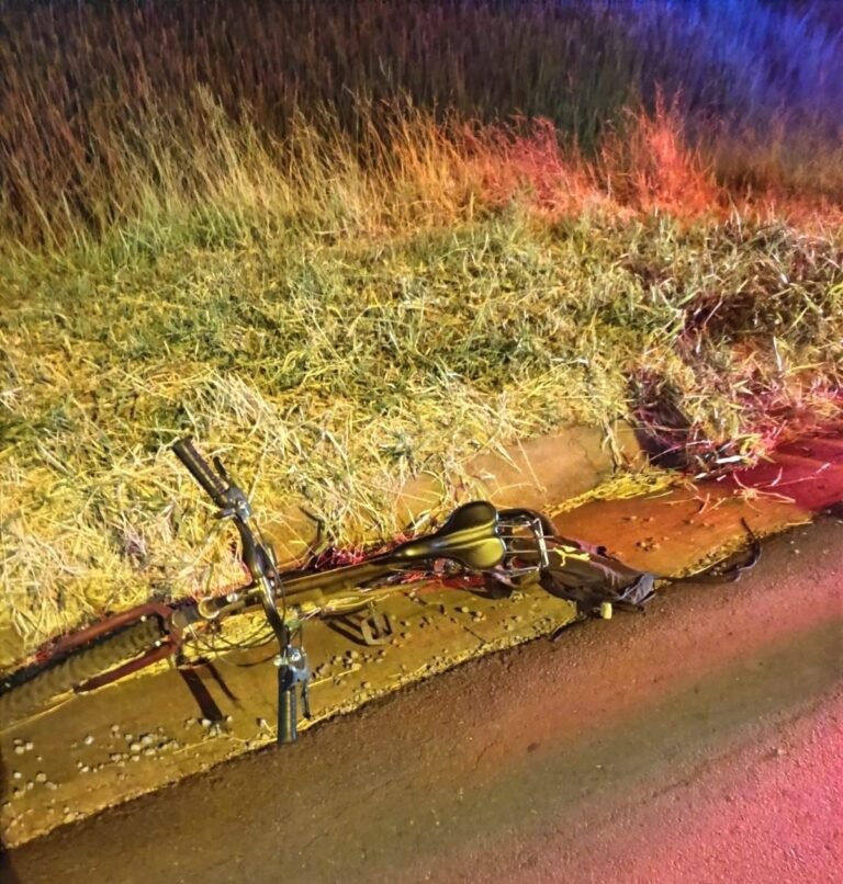 WhatsApp Image 2026-01-28 at 10.14.17